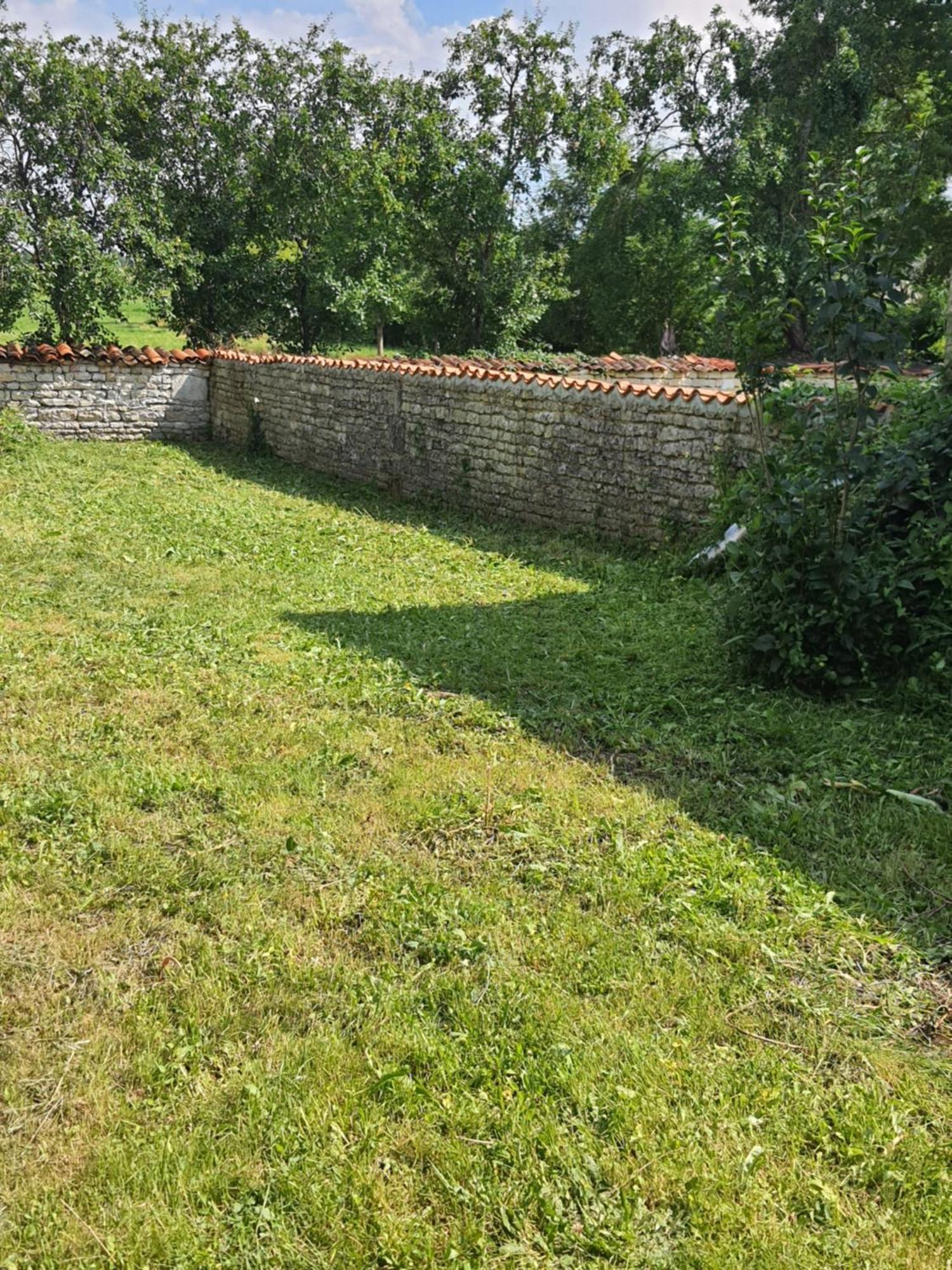 Domi Et Les Chats Barbezieres Kültér fotó